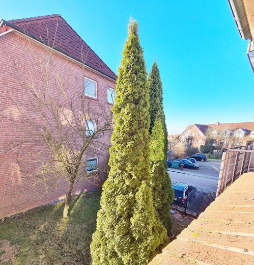 Blick aus dem Wohnzimmer