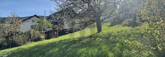 IDILLIO TRA NATURA E CITTÀ