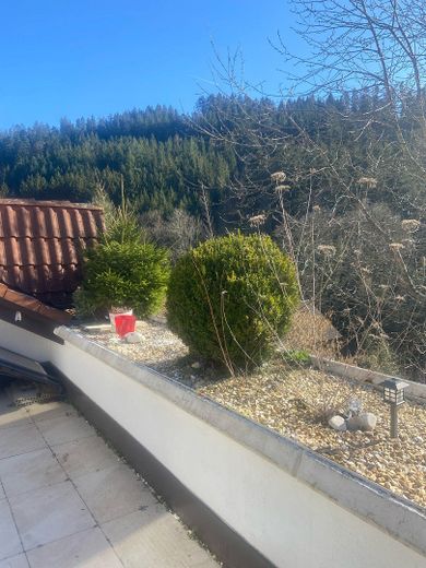 Blick aus Terrasse