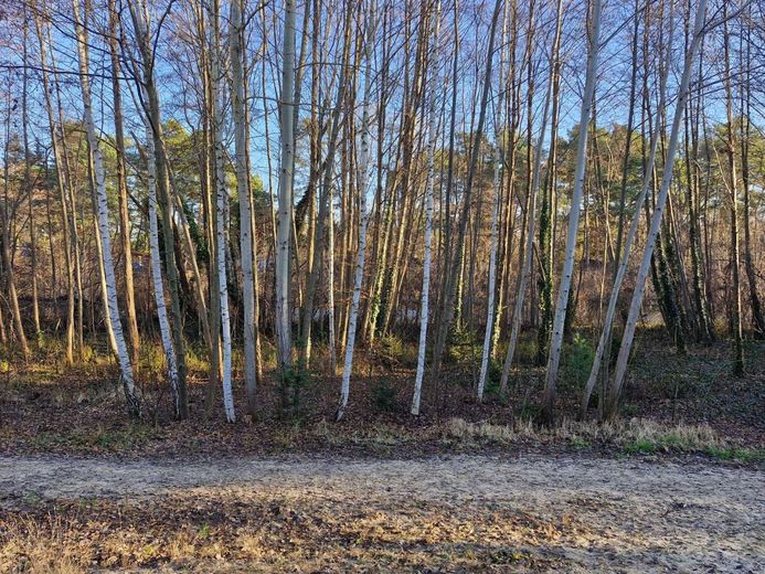 MFH mit  Baugrundstück - seltene Chance in Oranienburg – Umgebung_02