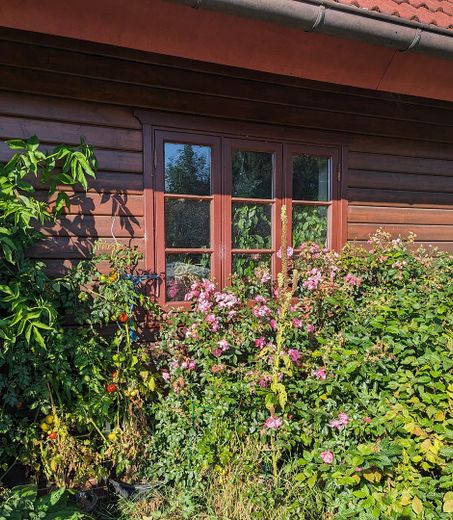 RESERVIERT: Schönes Holzhaus auf großem Grundstück für Naturliebhaber und Individualisten – Foto 10