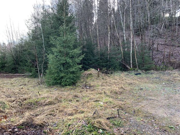 gewerbliches Grundstückspaket - 38222m² - am Bhf./Bahngleisen – 240105_Lengenfeld_GS_1263_24_25_26_017