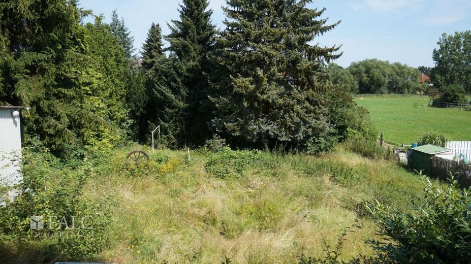 Blick in den Garten