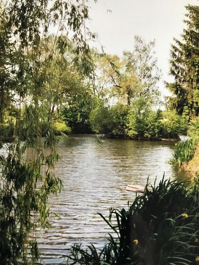 Teilansicht Weiher