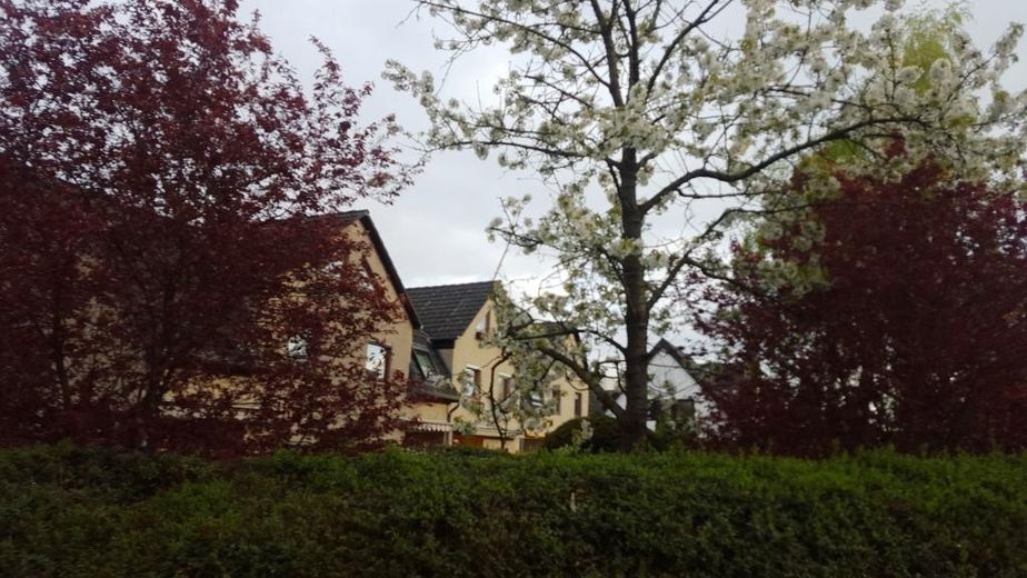 Sicht von Falkenseer Chaussee