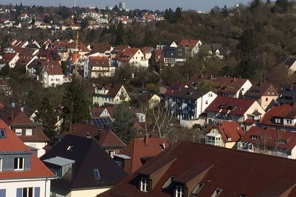 Dicht bij de stad, maar toch midden in het groen: lichte, rustige 3-kamerwoning