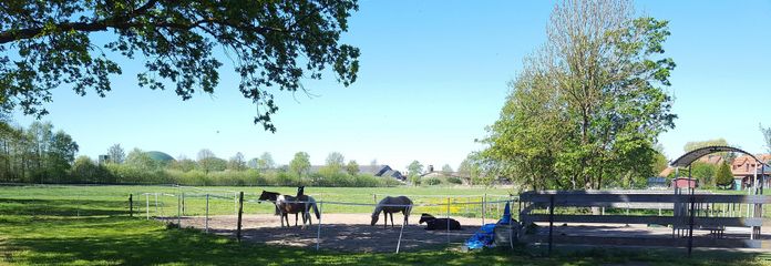 Paddock und Hausweide