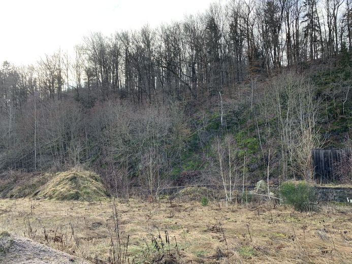 gewerbliches Grundstückspaket - 38222m² - am Bhf./Bahngleisen – 240105_Lengenfeld_GS_1263_24_25_26_012