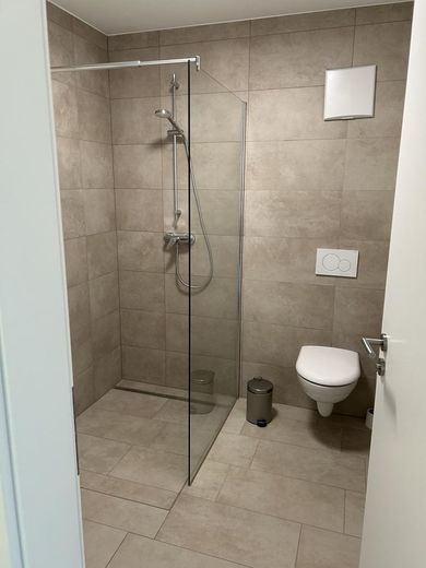 Möbliertes Apartment für Pendler, Fachkräfte, Führungskräfte – Badezimmer