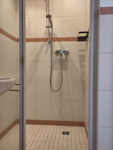 Haushälfte mit Charakter – Bad unten, Dusche