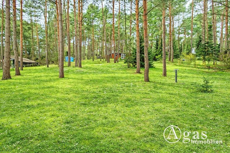 Großes bauträgerfreies Grundstück in Töpchin - ideal für Familien und Naturliebhaber – Weitläufiges Grundstück