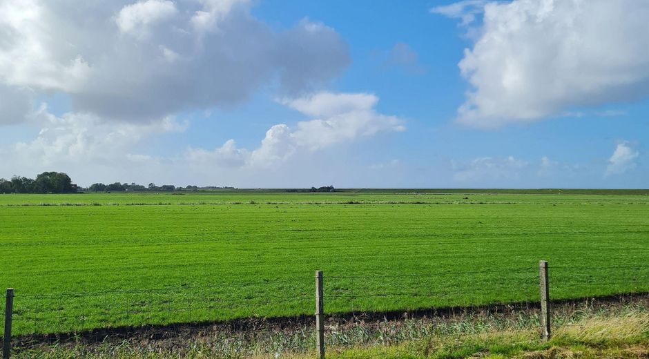 Casa di campagna con tetto di paglia in posizione assolutamente isolata – Landschaftsblick