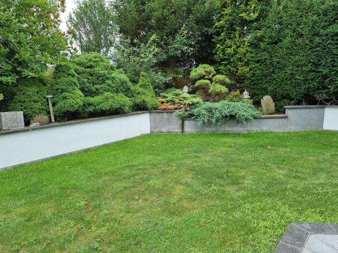 Habiter et travailler de manière représentative à un niveau élevé // avec licence commerciale ou activité libérale – Schön angelegter Garten 