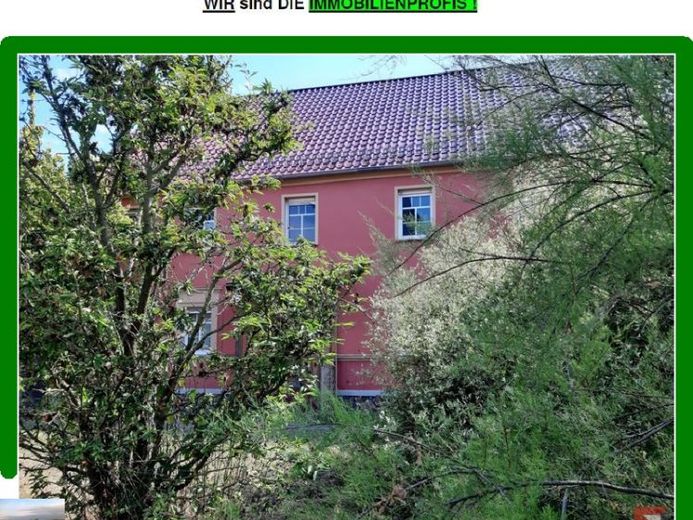 *** Platz ohne Ende? Fast. Vierseitenhof mit 8 Zimmern, 2 Küchen, 4 Bädern, Scheune, Stallungen, Badeteich u.m. und 6.725 m² Grundstück *** – Foto 1