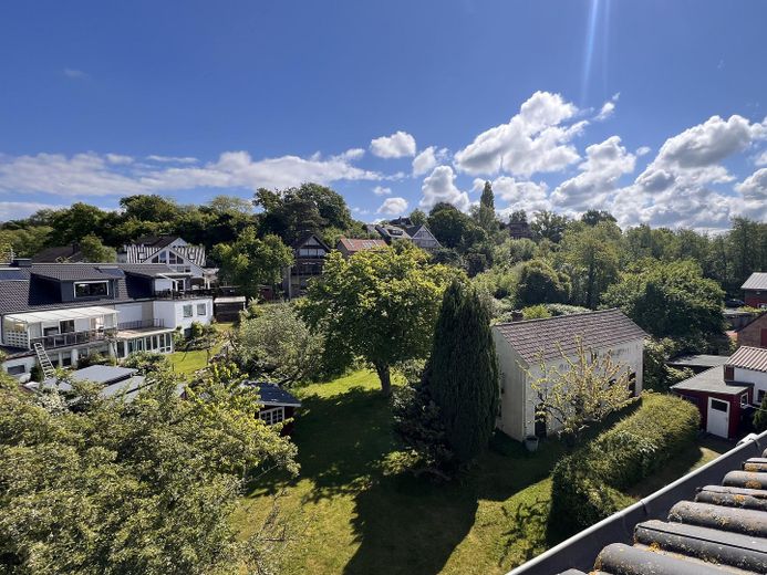 Blick in den Garten