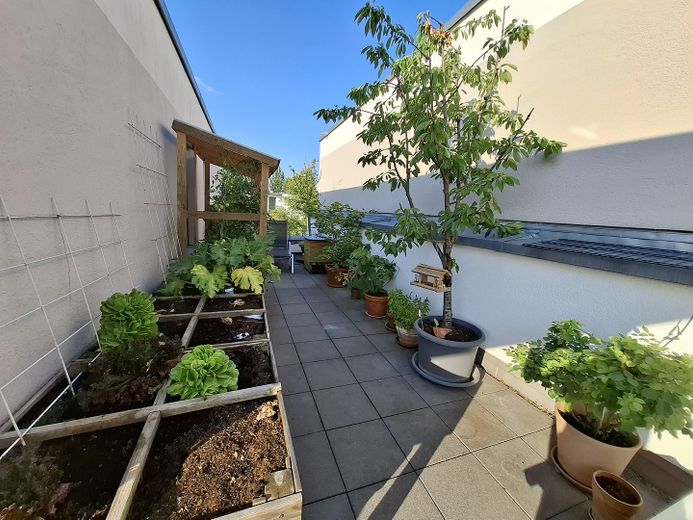 Zentrales Penthouse in Waiblingen mit großer Dachterrasse – Dachterasse