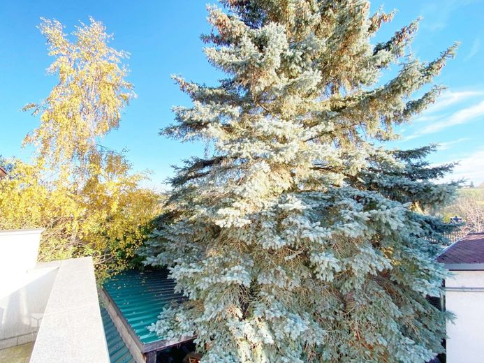Ruhiges Familienidyll und viel Platz. Zwei wirtschaftlich getrennte Häuser+ Garten zum Einheitspreis – Blick vom Balkon