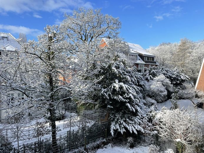 Blick_vom_Balkon_rechts