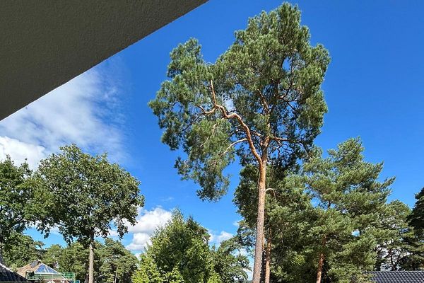 Wohnen am See in der Natur: Moderne Wohnung mit Balkon (1.OG)