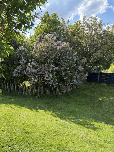 Sehr gepflegtes Einfamilienhaus ohne Provision in Traumhafter Lage – Foto 7