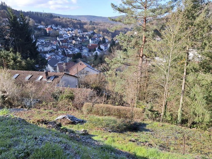Attraktives Baugrundstück in unverbaubarer Südwestlage in Schriesheim-Altenbach – Photo 1
