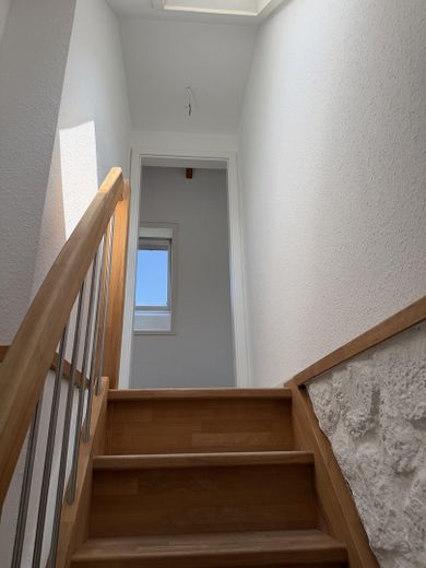 Prima occupazione dopo la ristrutturazione - appartamento di 4 locali – Aufgang