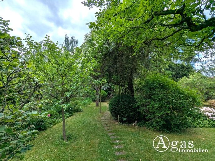 Wohnen im Grünen - Charmantes Haus auf sonnigem Waldgrundstück in Melchow – Garten