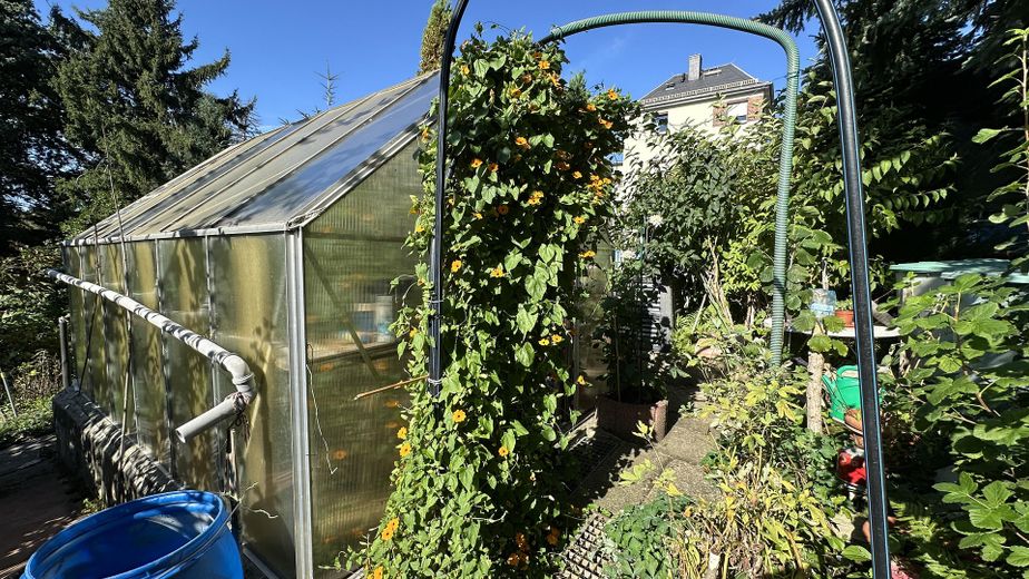 Eigenheim am SW-Stadtrand mit schönem Garten – Gewächshaus