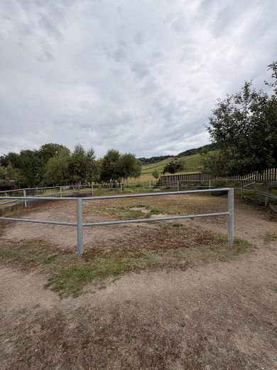 Round Pen Rasterplatten/Sand