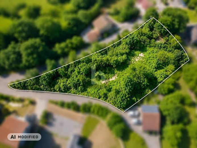 TRAUMSTÜCK IN DER FRÄNKISCHEN LANDSCHAFT – Foto 1