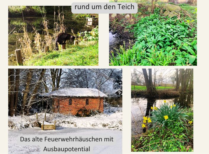 Teich und Feuerwehrhäuschen