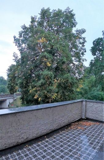 VOLL MÖBLIERTES WOHNEN IN MICHENDORF VOR DEN TOREN VON POTSDAM UND BERLIN – Balkon
