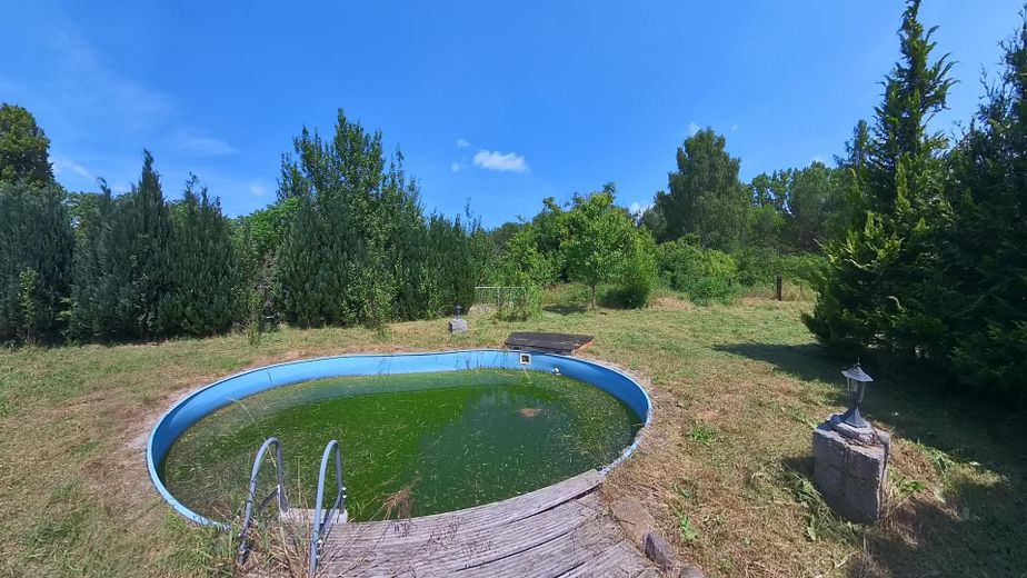 Garten_Pool