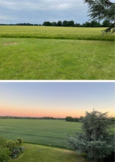 Ein Zuhause mit Charakter – Das Feld im Frühjahr & Sommer