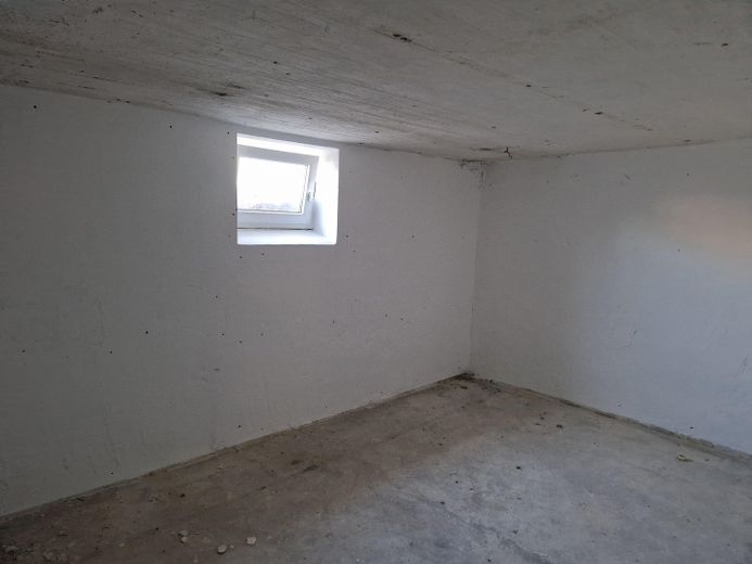 NEU - Saniertes Einfamilienhaus mit sehr viel Platz, Südgarten – Keller
