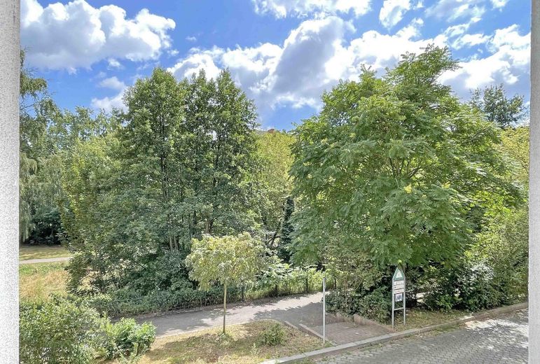 Traumhafter Altbau in direkter Pankelage | Erstbezug | Saniert | Provisionsfrei – Ausblick Wohnzimmer