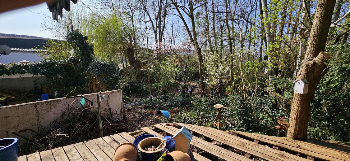 Blick über die Terrasse