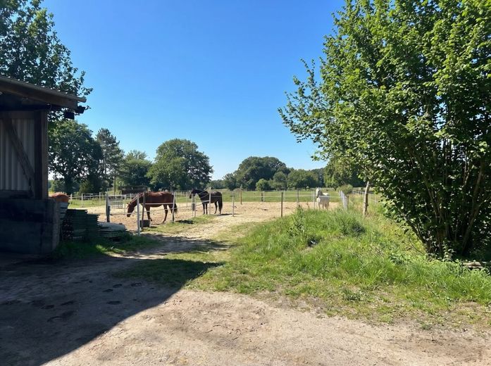 Resthof in echter Alleinlage: Modernisiert | 29.000 m² | 
Einliegerwohnung | Pferdehaltung | Pool – Paddock