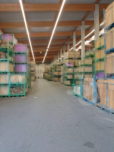 Kalthalle 7.120 m² im Gewerbepark Hunderdorf Halle 4-8 - zur Miete – फोटो 3