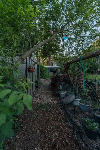 Oasi verde nell’idilliaca Zernsdorf su 1.130 m² con laghetto, sauna e serra – Foto 5