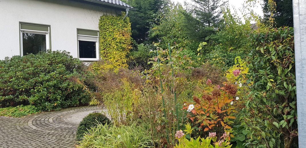 Sonnige Dachgeschosswohnung in Köln-Weiden – Gartenansicht rechte Seite