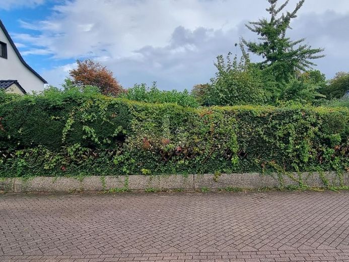 SONNENSTÜCK - UNBEBAUT - OPTIONAL DIREKT MIT HAUS – Foto 1