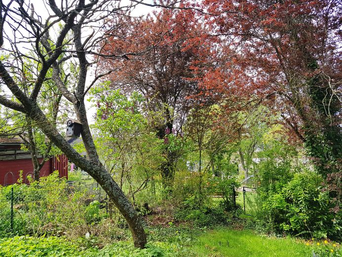 Gartenimpression