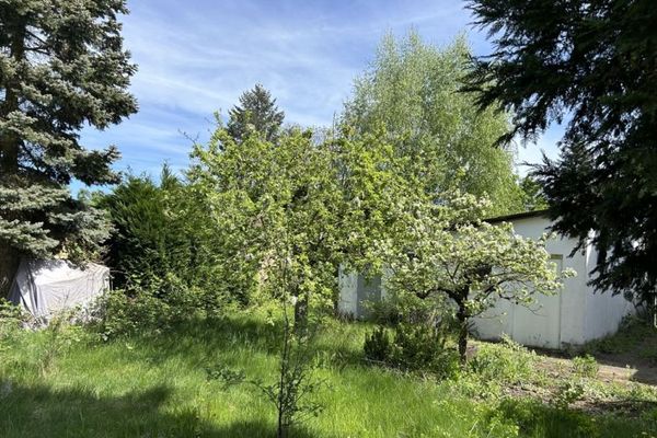 Baugrundstück für EFH oder MFH mit Bestandsgebäude in Sprendlingen