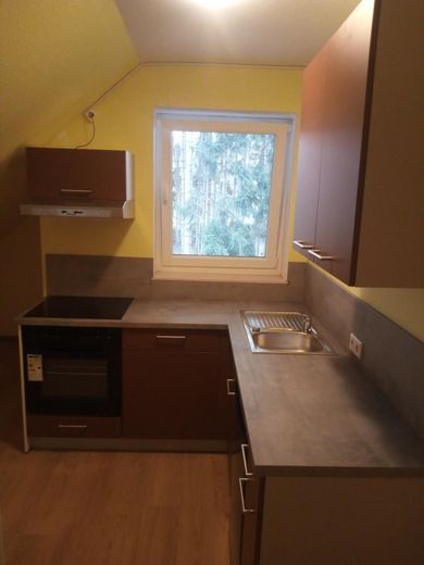 Küche mit Einbauküche neu 