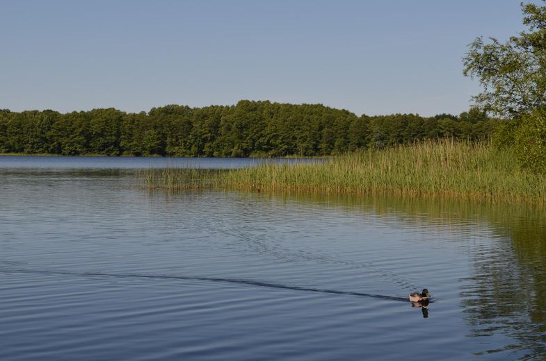 der See