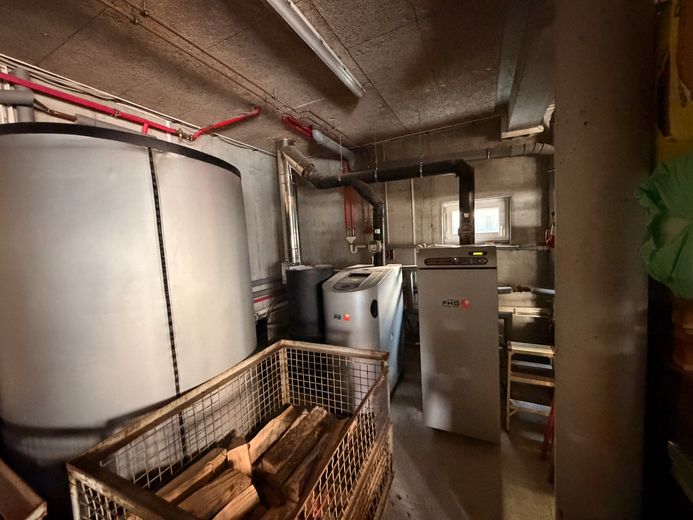 Dom jednorodzinny o wyjątkowej architekturze i dużym potencjale – Pelletsheizung + Stückholzheiz