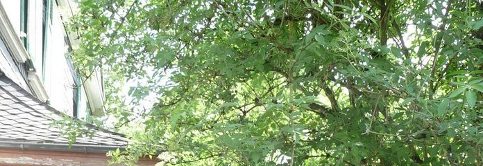 Eingang für Wohnung 1 und 2