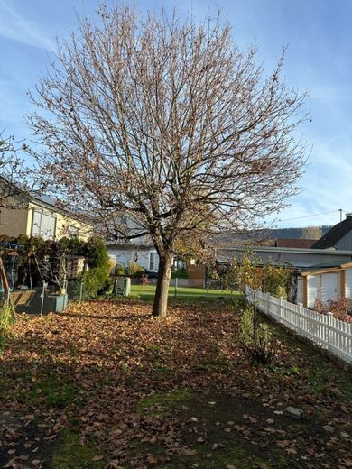 Garten 3