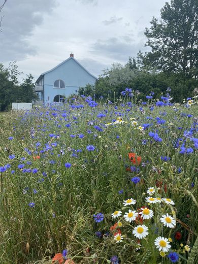 Außenansicht Von Vitt kommend